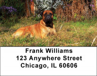 Mastiff Majesty Address Labels | LBDOG-41