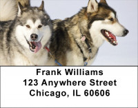 Sled Dogs Address Labels | LBDOG-43