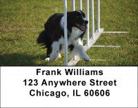 Border Collie Agility Address Labels | LBDOG-45