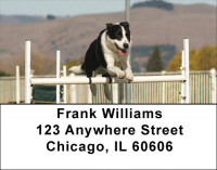 Border Collie Agility Address Labels | LBDOG-45