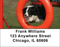 Border Collie Agility Address Labels | LBDOG-45