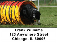 Border Collie Agility Address Labels | LBDOG-45