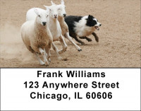 Border Collie at Work Address Labels | LBDOG-46