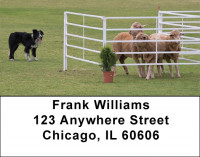 Border Collie at Work Address Labels | LBDOG-46