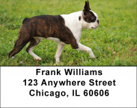 Boston Terrier Address Labels | LBDOG-47