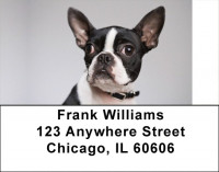 Boston Terrier Address Labels | LBDOG-47