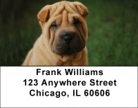 Shar Pei Address Labels | LBDOG-48