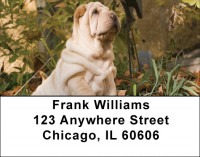 Shar Pei Address Labels | LBDOG-48