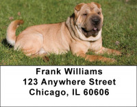 Shar Pei Address Labels | LBDOG-48