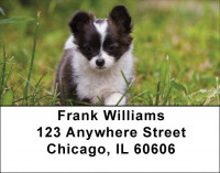 Adorable Chihuahuas Address Labels | LBDOG-51