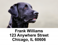 Black Labs Are Brilliant Address Labels | LBDOG-52