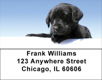Black Lab Puppies Address Labels | LBDOG-53