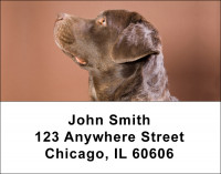 Chocolate Labs Address Labels | LBDOG-54