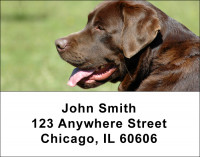 Chocolate Labs Address Labels | LBDOG-54