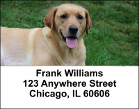 Majestic Yellow Lab Address Labels | LBDOG-56