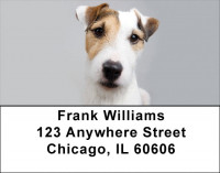 Jack Russells Are Mischievous Address Labels | LBDOG-58