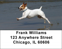 Jack Russells Are Mischievous Address Labels | LBDOG-58