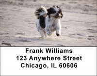 Happy Shih Tzu Address Labels | LBDOG-59