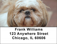 Happy Shih Tzu Address Labels | LBDOG-59