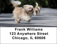 Happy Shih Tzu Address Labels | LBDOG-59
