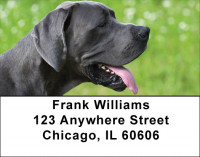 Great Dane Giants Address Labels | LBDOG-63