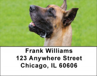 Great Dane Giants Address Labels | LBDOG-63