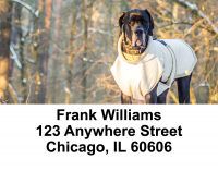 Great Dane Giants Address Labels | LBDOG-63