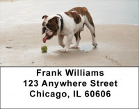 English Bulldogs Romping Address Labels | LBDOG-65