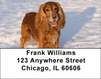 Cocker Spaniel Pups Are Cuddly Address Labels | LBDOG-66