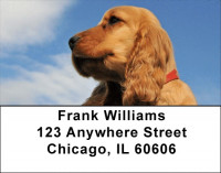 Cocker Spaniel Pups Are Cuddly Address Labels | LBDOG-66