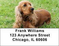 Cocker Spaniel Pups Are Cuddly Address Labels | LBDOG-66