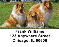 Collies Come Home Address Labels | LBDOG-70