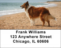 Collies Come Home Address Labels | LBDOG-70