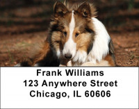 Collies Come Home Address Labels | LBDOG-70