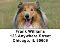 Collies Come Home Address Labels | LBDOG-70