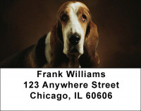 Basset Hound Address Labels | LBDOG-71