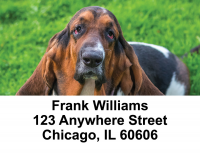 Basset Hound Address Labels | LBDOG-71