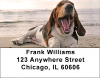 Basset Hound Address Labels | LBDOG-71