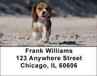 Beagles Are Brilliant Address Labels | LBDOG-73