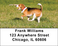 Beagles Are Brilliant Address Labels | LBDOG-73