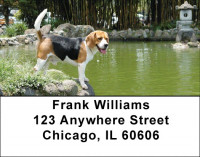 Beagles Are Brilliant Address Labels | LBDOG-73