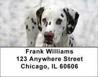 Dalmatians Address Labels | LBDOG-74
