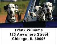 Dalmatians Address Labels | LBDOG-74