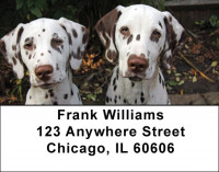 Dalmatians Address Labels | LBDOG-74