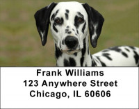 Dalmatians Address Labels | LBDOG-74
