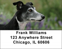 Whippets Are Wily Address Labels | LBDOG-75