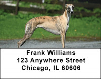 Whippets Are Wily Address Labels | LBDOG-75
