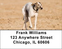 Whippets Are Wily Address Labels | LBDOG-75