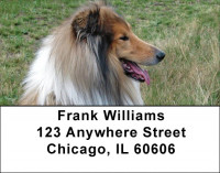 Collies Out and About Address Labels | LBDOG-76