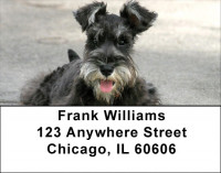 Snugly Schnauzer Address Labels | LBDOG-77